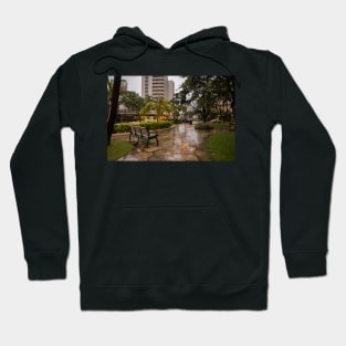 A lonely in rainy day in Honolulu 2 Hoodie